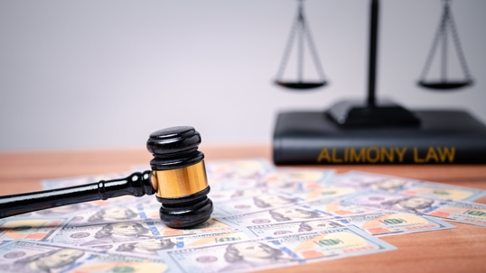 Alimony Modifications in Florida