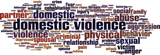 Domestic Violence Accusations in Florida: Defenses